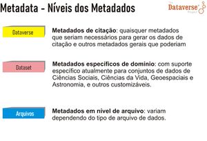 Dataverse-metadatados.jpg